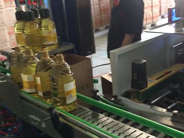 單柱式裝箱機(jī)