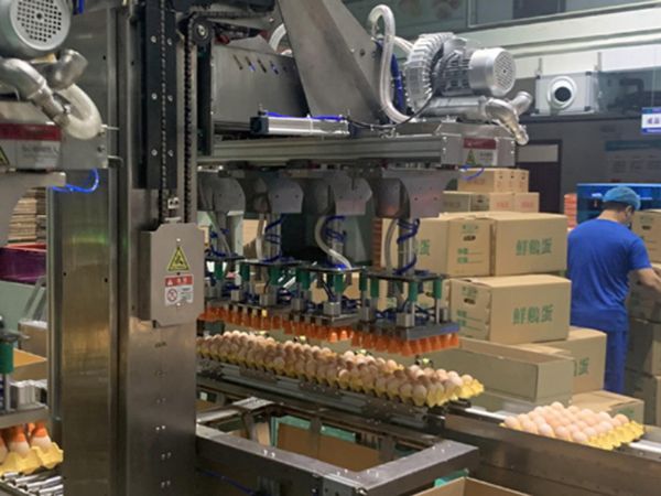 雞蛋抓取式裝箱機(jī)